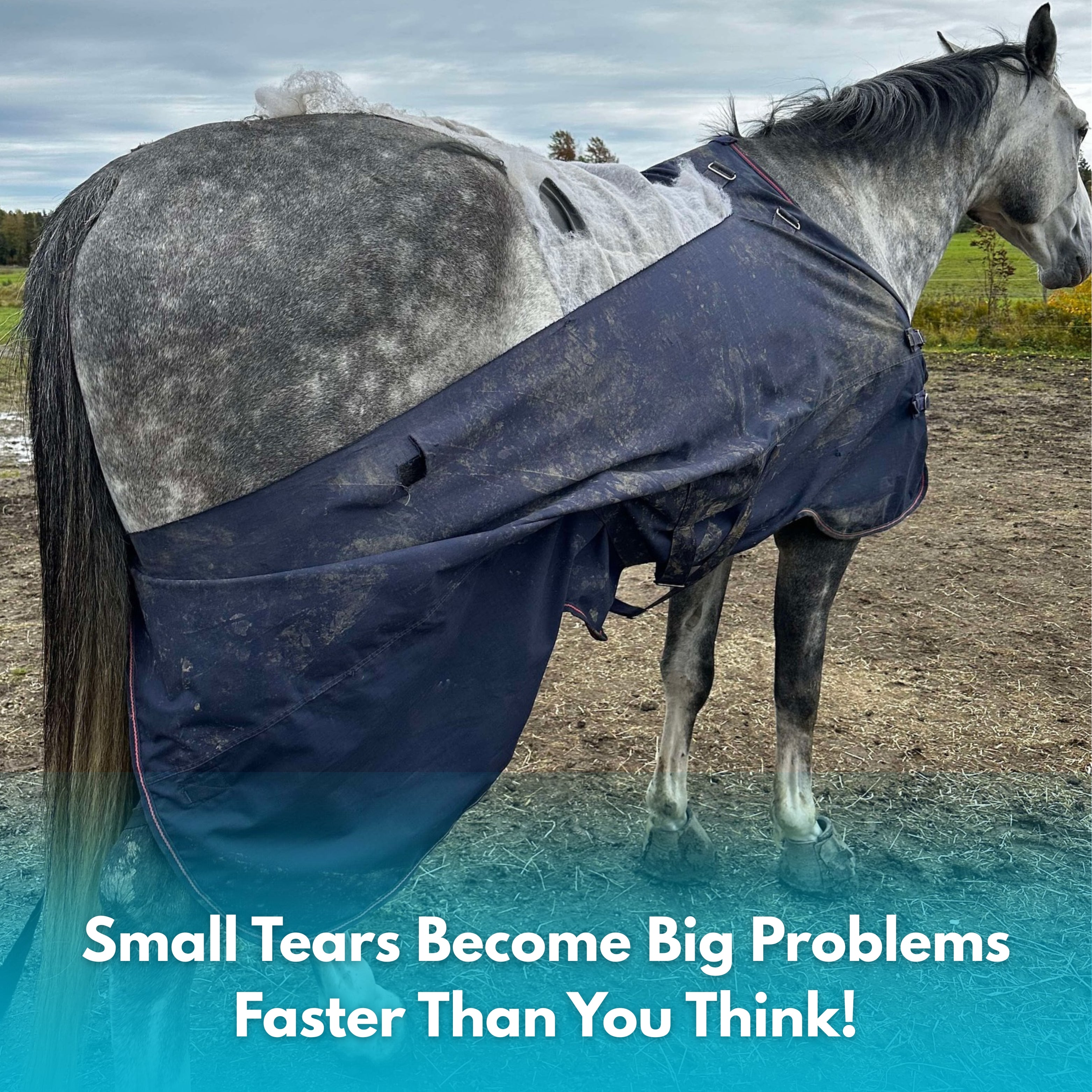 PonyPatch™ The Permanent Blanket Insurance.